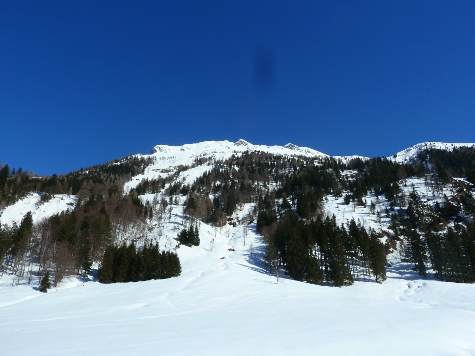 Polinik u Elferspitz