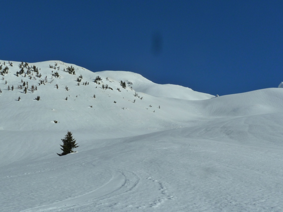 Polinik u Elferspitz